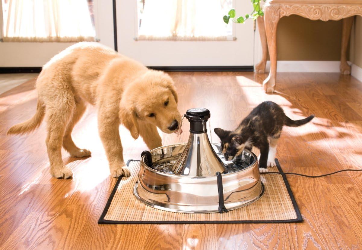 PetSafe Drinkwell Stainless Steel 360 Multiple Pet Fountain - Scratch and Rust Resistant Automatic Water Dispenser for Cats or Dogs - Adjustable Flow Control - 128 Ounce (3.8 Liter) - Filters Included - Image 7