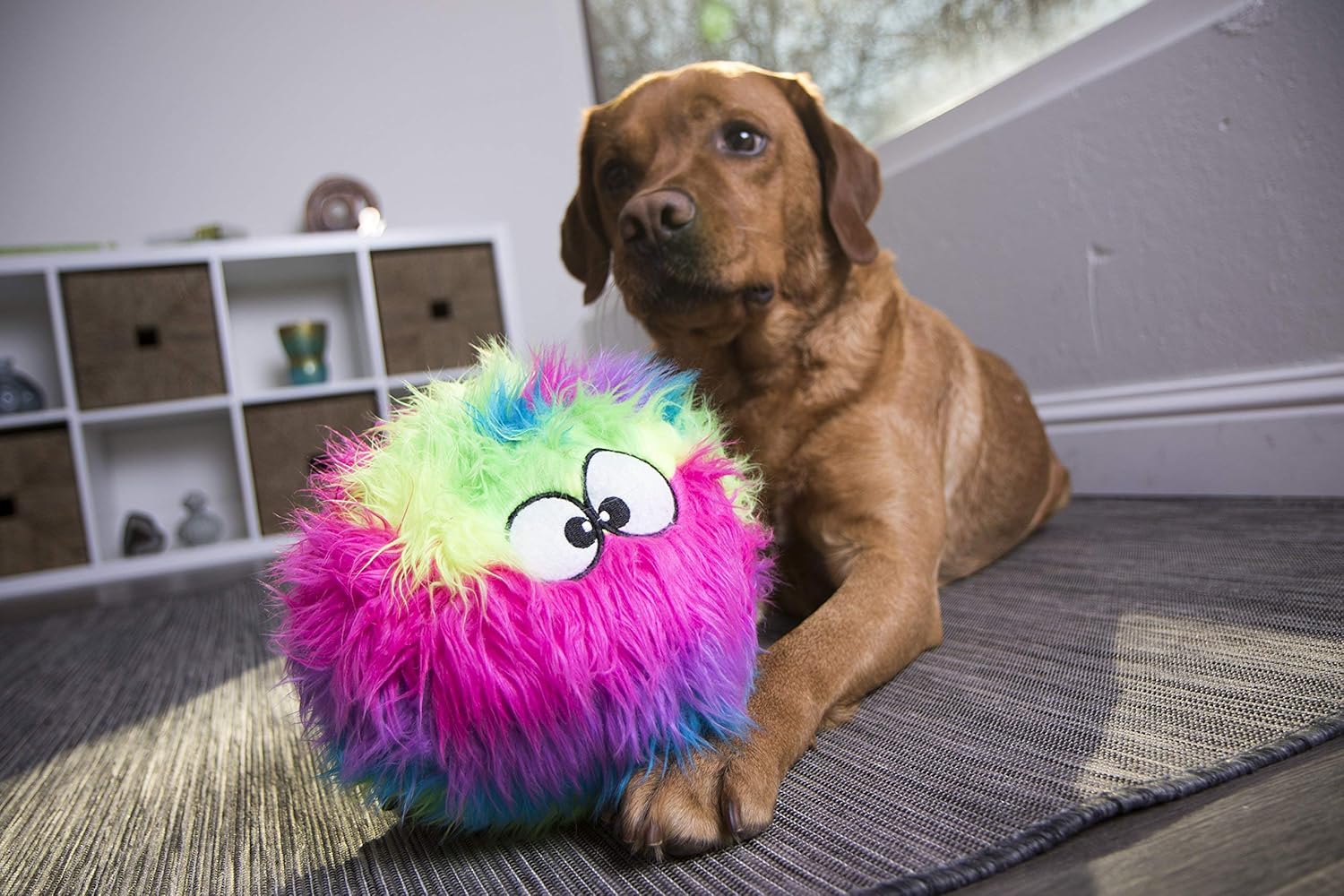 goDog Furballz Squeaky Plush Ball Dog Toy, Chew Guard Technology - Rainbow, Large - Image 10