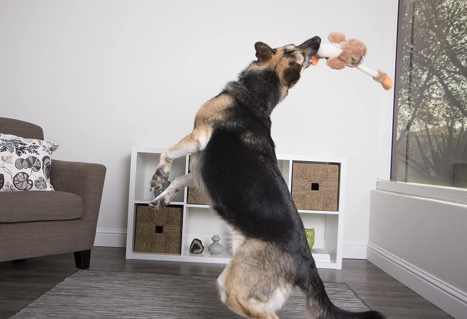 goDog Checkers Skinny Rooster Squeaky Plush Dog Toy, Chew Guard Technology - Brown - Image 5