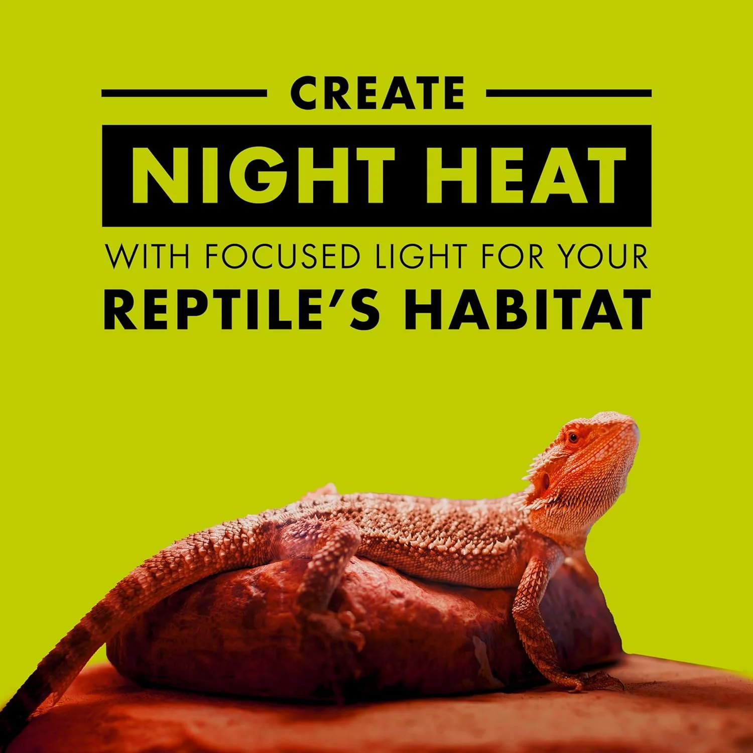 Zilla Incandescent Spot Bulb, for Nocturnal Reptile Species, Night Red - Image 3