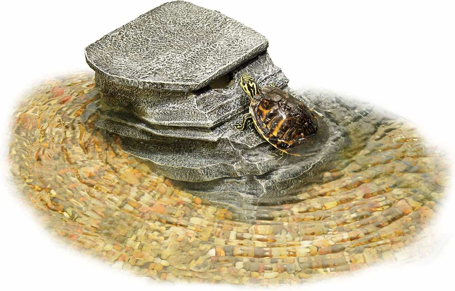 Zilla Reptile Habitat Décor Basking Platform Filter, Small, 10-20G - Image 4