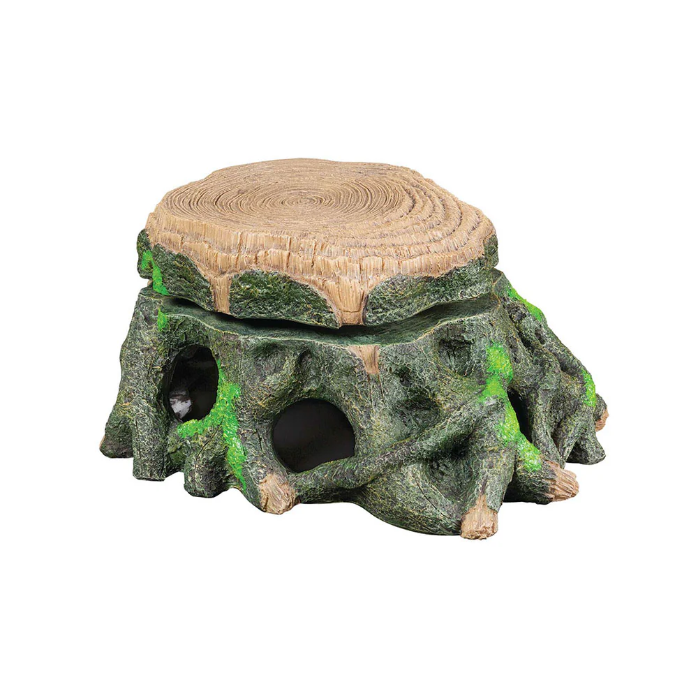 TURTLE TRUNK FLOATING PLATFORM