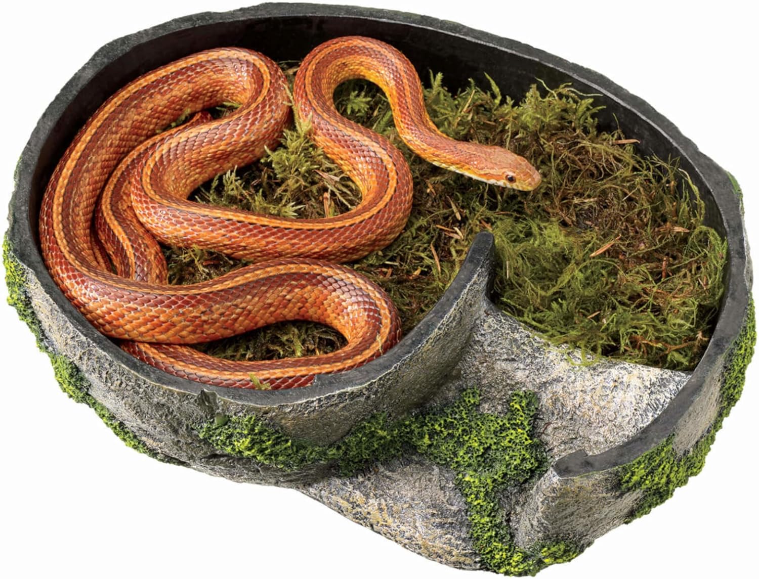 Zilla Pet Terrarium Rock Lair, Reptile Hide for Lizards, Snakes and More, Large - Image 3