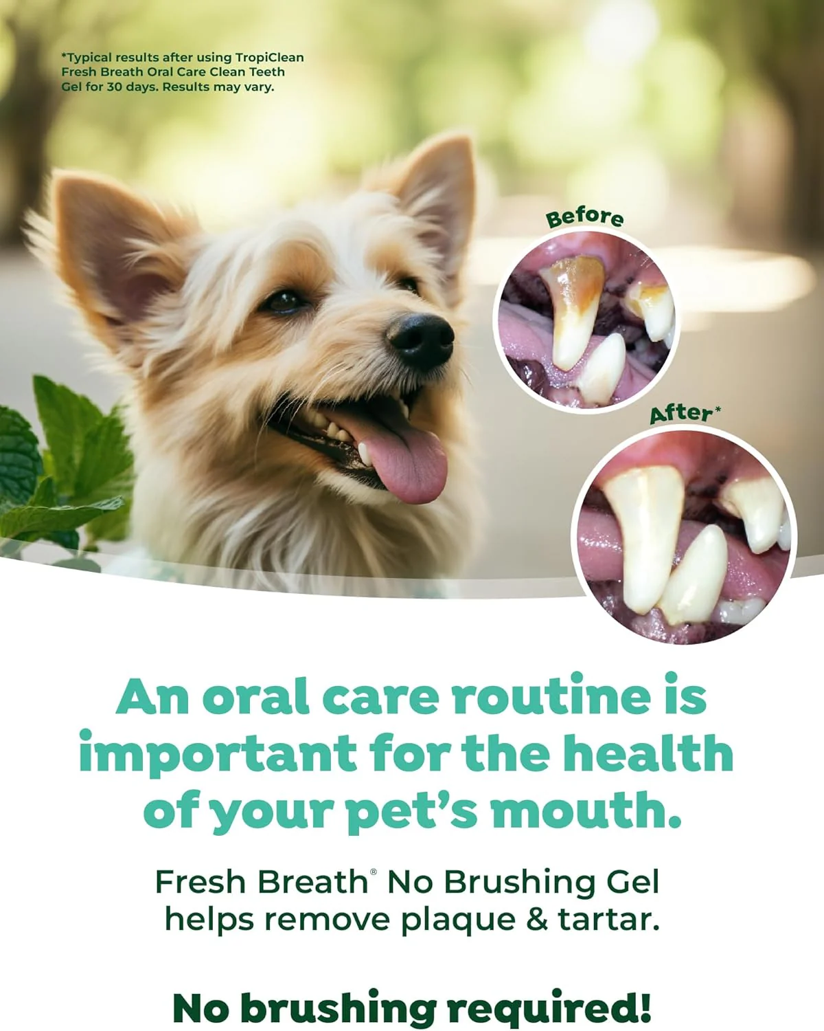 TropiClean Clean Teeth Gel for Dogs | Dog Dental Care | Dog Toothpaste | Breath Freshener | - Image 5