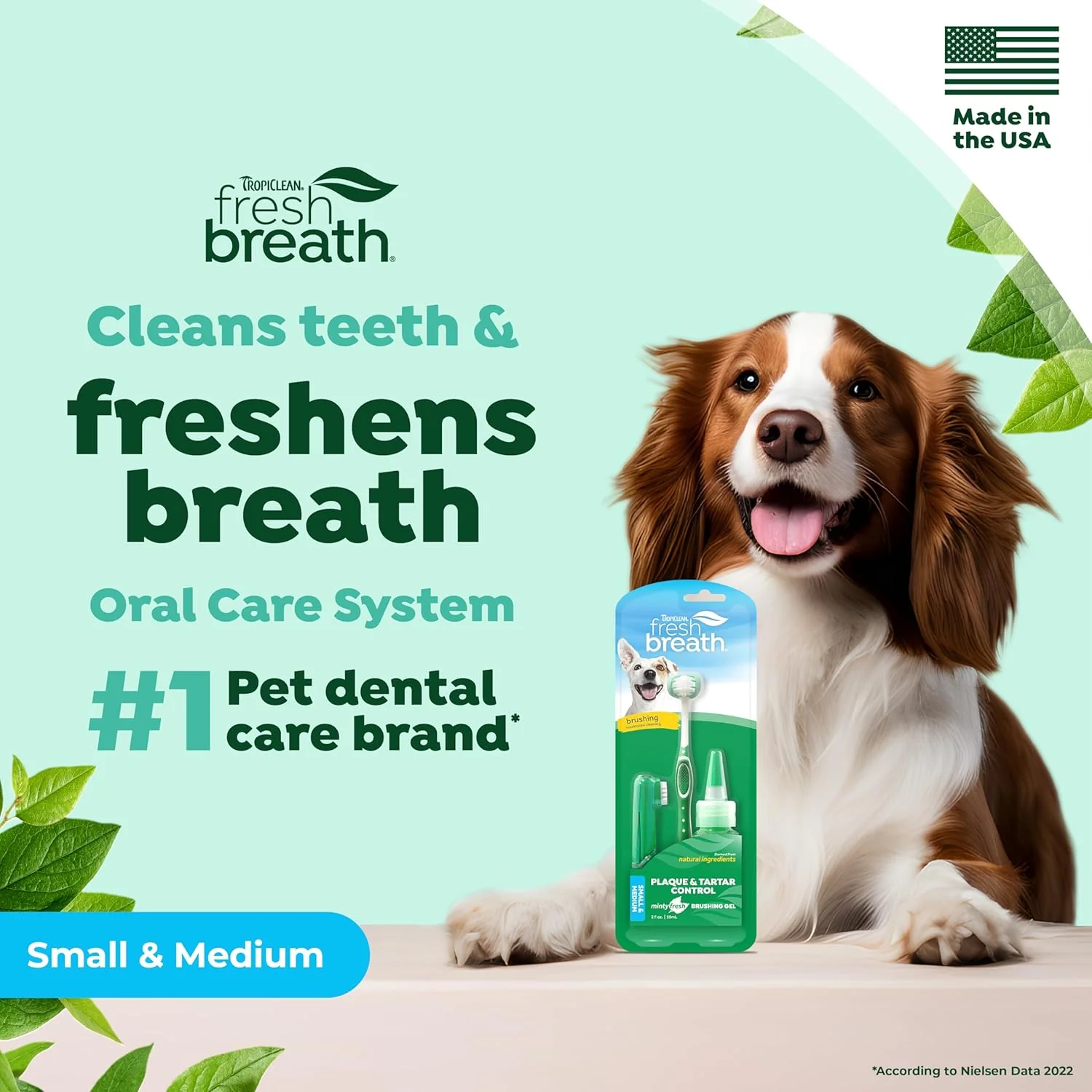 TropiClean Fresh Breath Toothbrush and Toothpaste Kit for Dogs, Teeth Cleaning Kit for Plaque & Tartar Removal, Breath Freshener, Dog Dental Care - Image 2