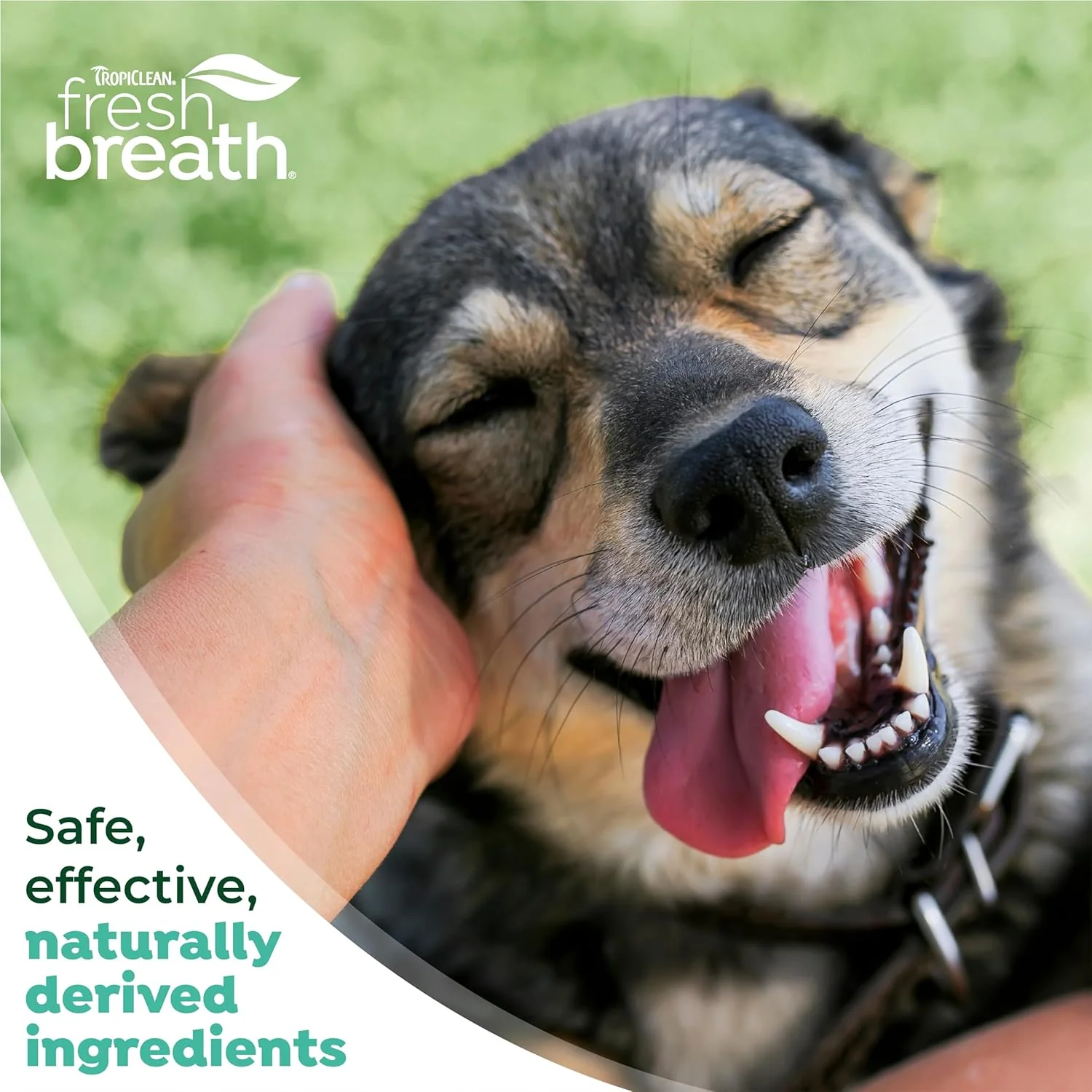 TropiClean Fresh Breath Toothbrush and Toothpaste Kit for Dogs, Teeth Cleaning Kit for Plaque & Tartar Removal, Breath Freshener, Dog Dental Care - Image 7