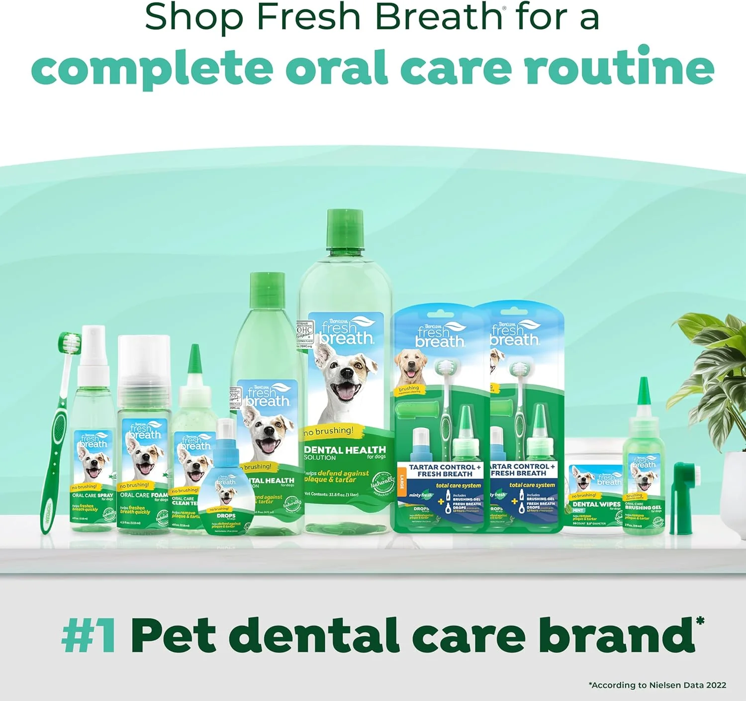 TropiClean Fresh Breath Dog Toothpaste for Teeth Cleaning, Breath Freshener, Easy to Use Plaque & Tartar Remover Gel - Image 6