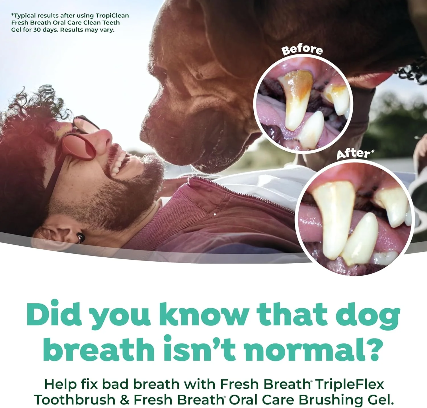 TropiClean Fresh Breath TripleFlex Toothbrush for Large Dogs  | 360-Degree Toothbrush | - Image 5