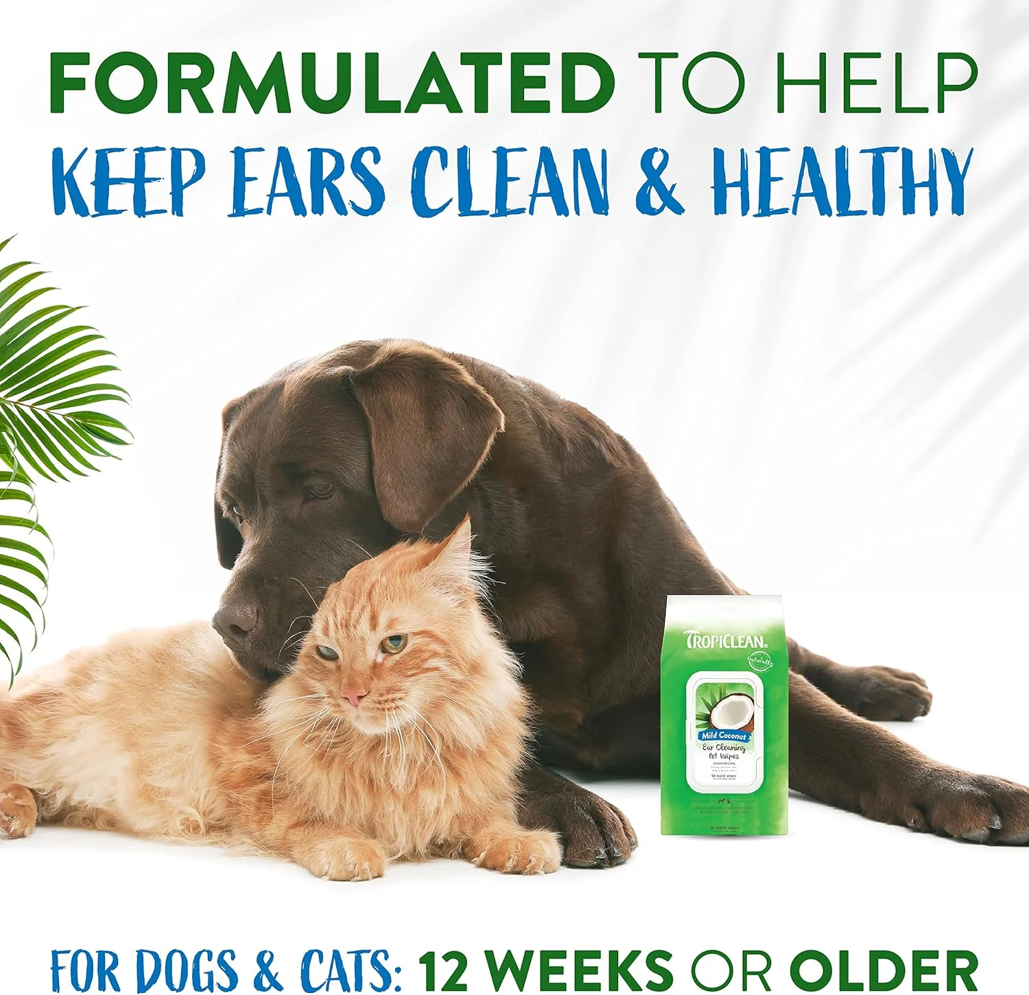 TropiClean Dog Ear Wipes, Dog Ear Cleaner, Soothing Itch Relief, Gently Removes Wax and Debris, Odor Eliminating, Safe for Daily Use, Cat Safe 50 ct - Image 4