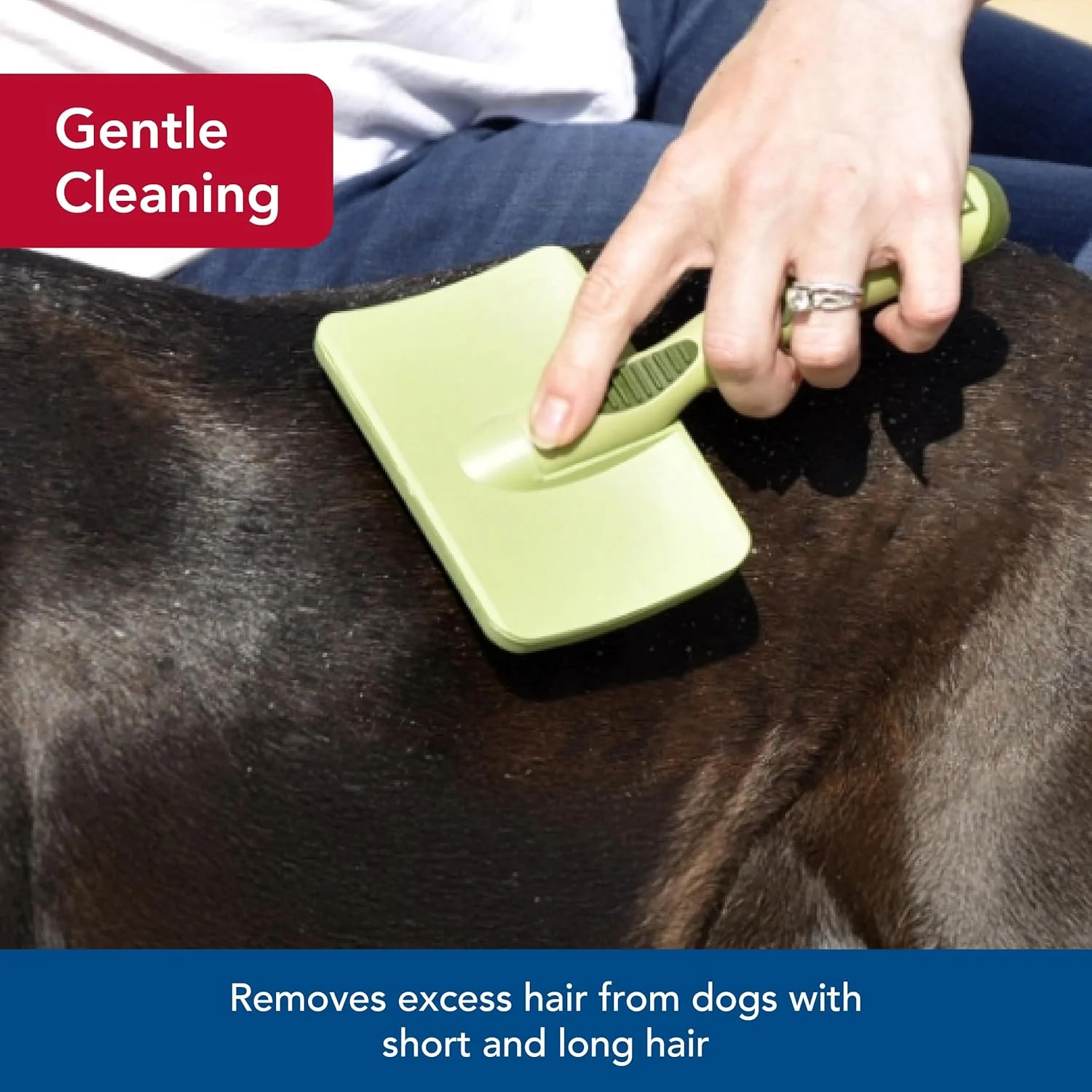 Coastal Pet Safari Dog Soft Slicker Brush - Dog Grooming Brush for Shedding - for Dogs with Short, Medium and Long Hair - Image 3