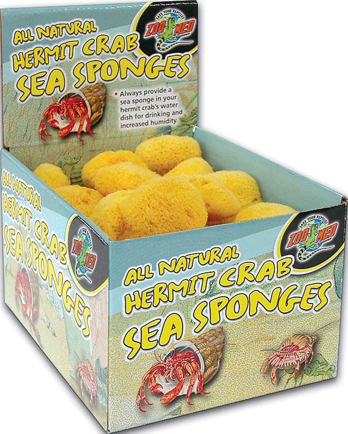 Zoo Med Laboratories Hermit Crab Sea Sponge - Image 2