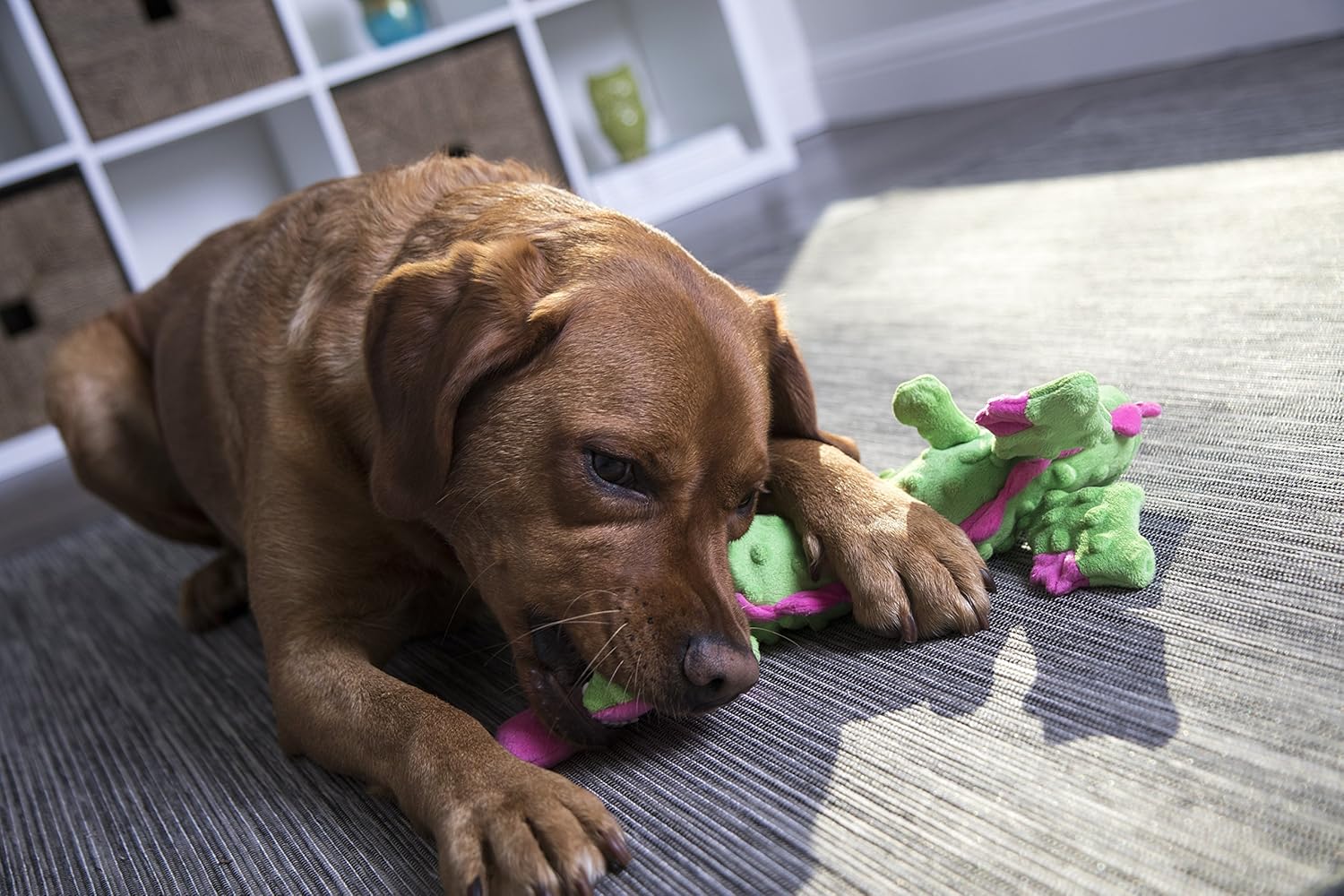 goDog Bubble Plush Skinny Dragons Squeaky Plush Dog Toy, Chew Guard Technology - Green - Image 4