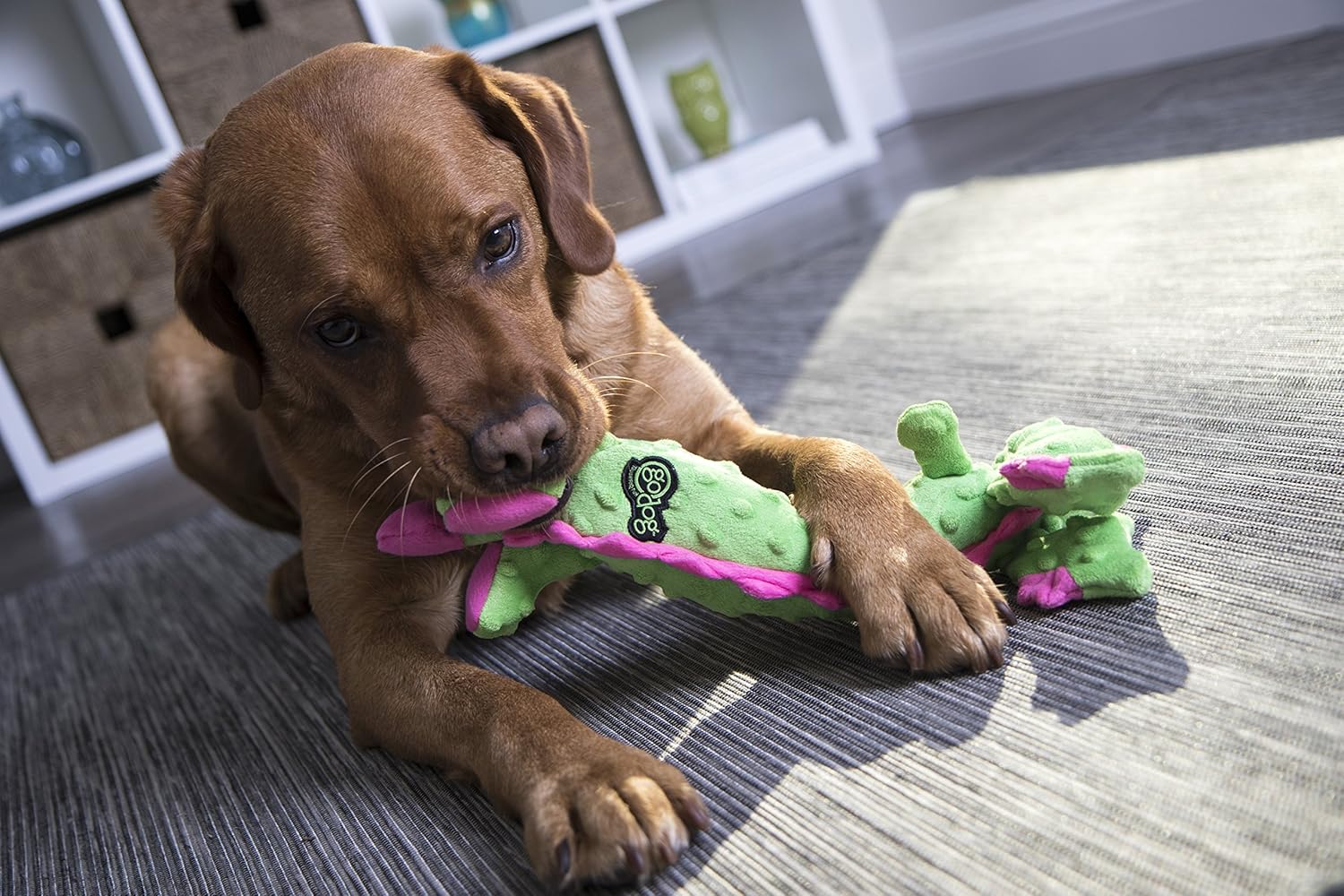 goDog Bubble Plush Skinny Dragons Squeaky Plush Dog Toy, Chew Guard Technology - Green - Image 5