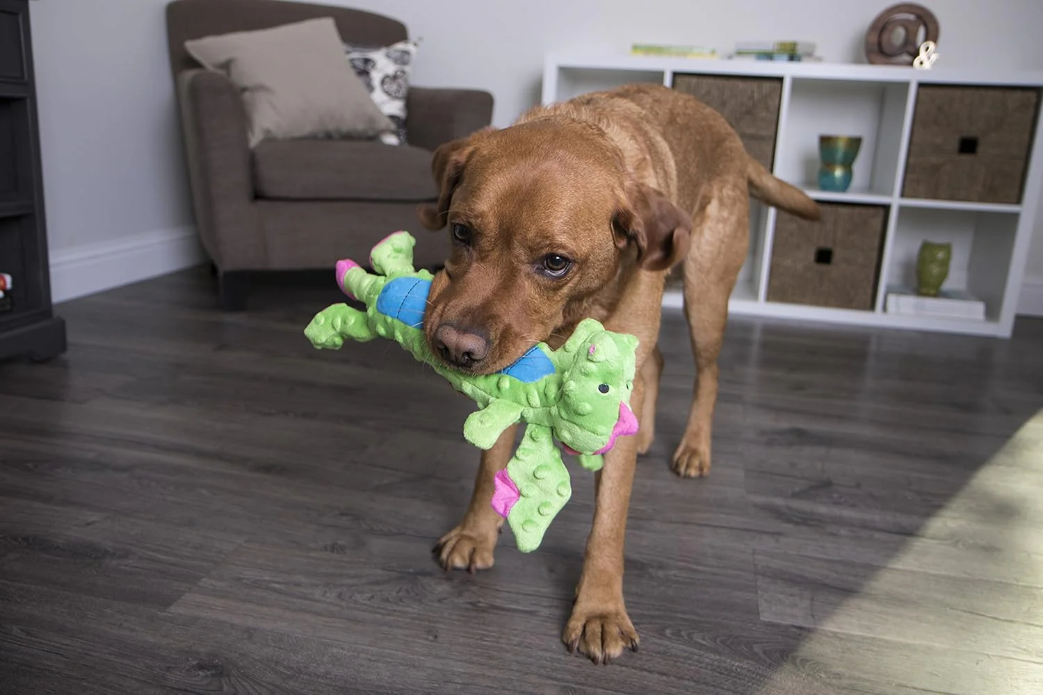 goDog Bubble Plush Skinny Dragons Squeaky Plush Dog Toy, Chew Guard Technology - Green - Image 8
