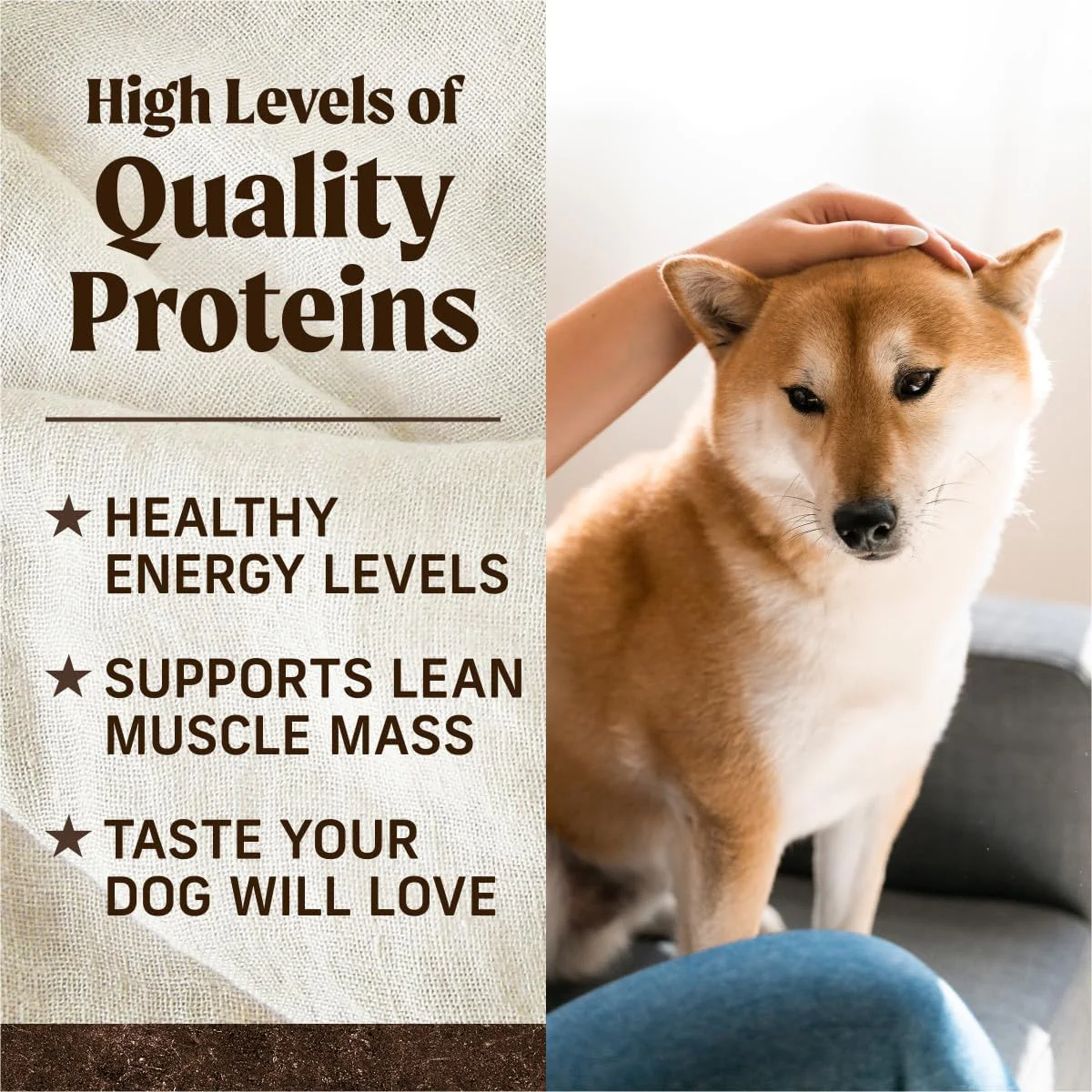 Merrick Premium Grain Free Dry Adult Dog Food, Wholesome And Natural Kibble, Real Texas Beef And Sweet Potato - Image 7