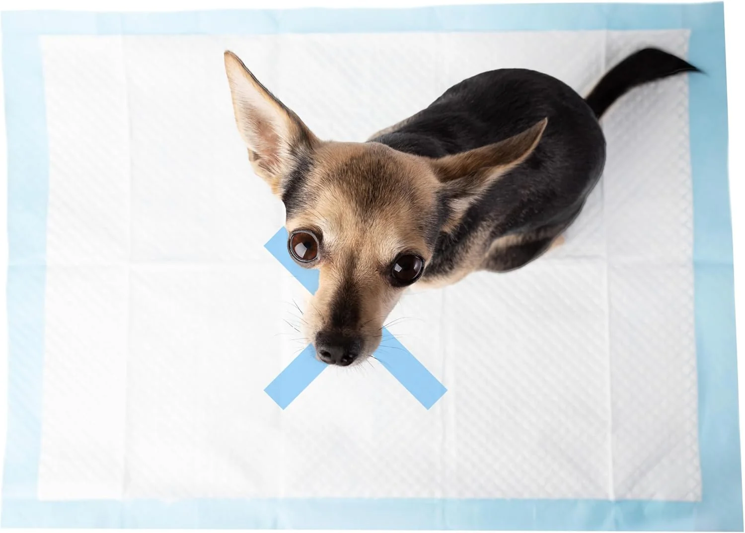SPOT X Marks The Spot Extra Absorbent Puppy Pads with Adhesive Strips & Pheromones – Attracts Dogs to Center for Training & Potty - Image 7