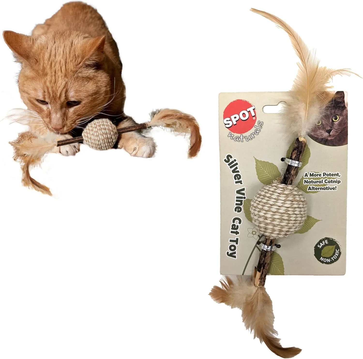 SPOT Naturals Silver Vine Cat Toy – Natural Interactive Enrichment for Cats, Stimulates Play and Reduces Stress, Durable and Safe, Perfect for Indoor Cats and Kittens, Assorted Styles, 1 Piece - Image 2