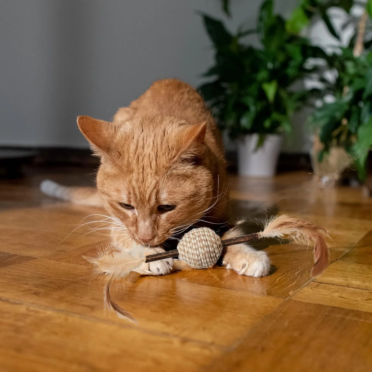 SPOT Naturals Silver Vine Cat Toy – Natural Interactive Enrichment for Cats, Stimulates Play and Reduces Stress, Durable and Safe, Perfect for Indoor Cats and Kittens, Assorted Styles, 1 Piece - Image 4