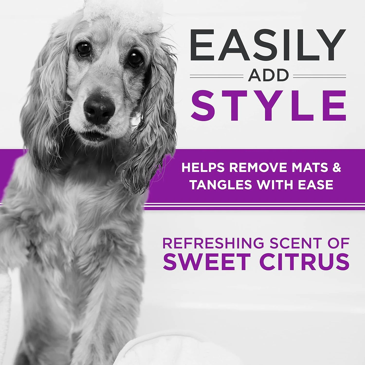 TropiClean Perfect Coat Shampoo for Dogs 16oz - Image 5