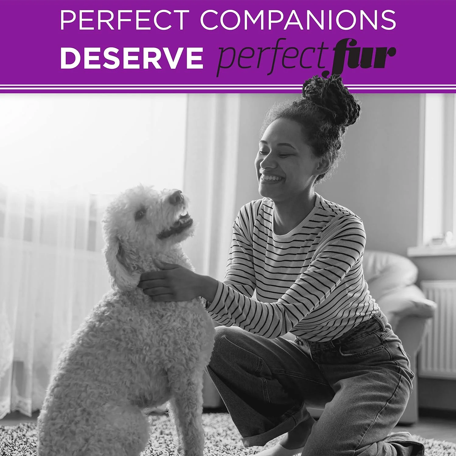TropiClean Perfect Coat Shampoo for Dogs 16oz - Image 6