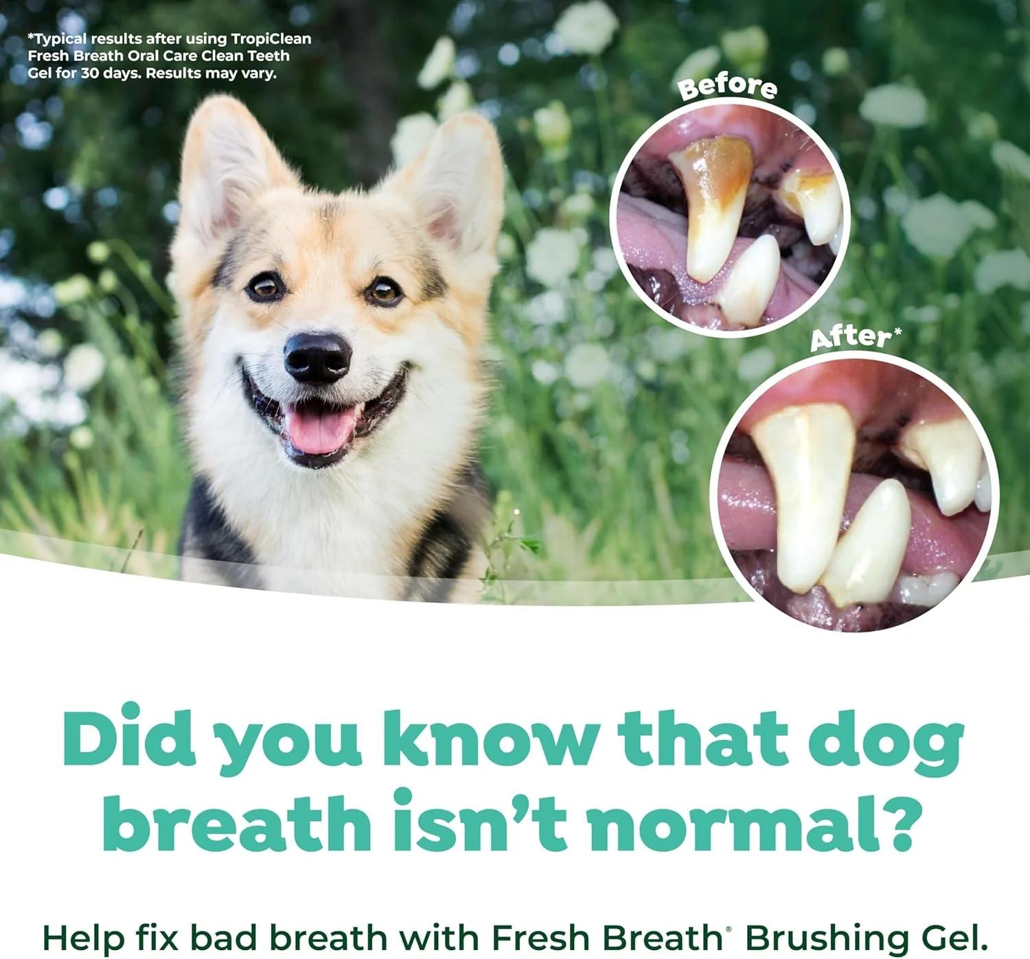 TropiClean Fresh Breath No Brush Total Care Kit | Dog Dental Hygiene| - Image 5