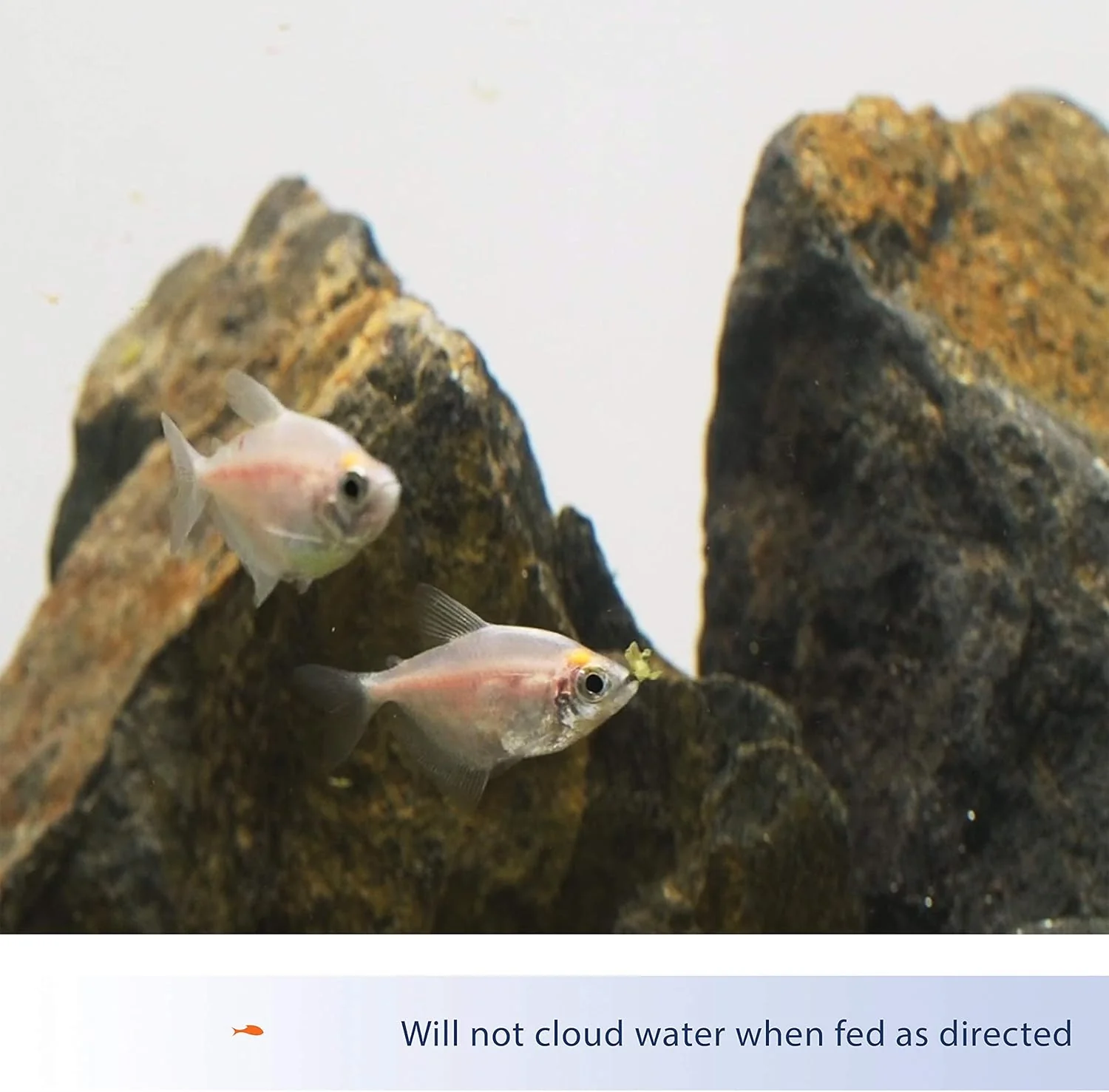 Aqueon® Tropical Flakes Fish Food - Image 3