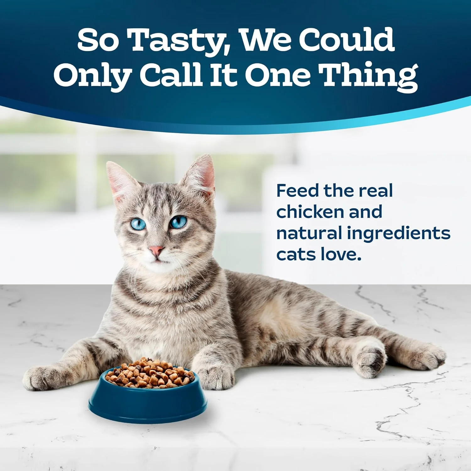 Blue Buffalo Tastefuls Natural Dry Food for Active Adult Cats, Chicken and Brown Rice Recipe - Image 4