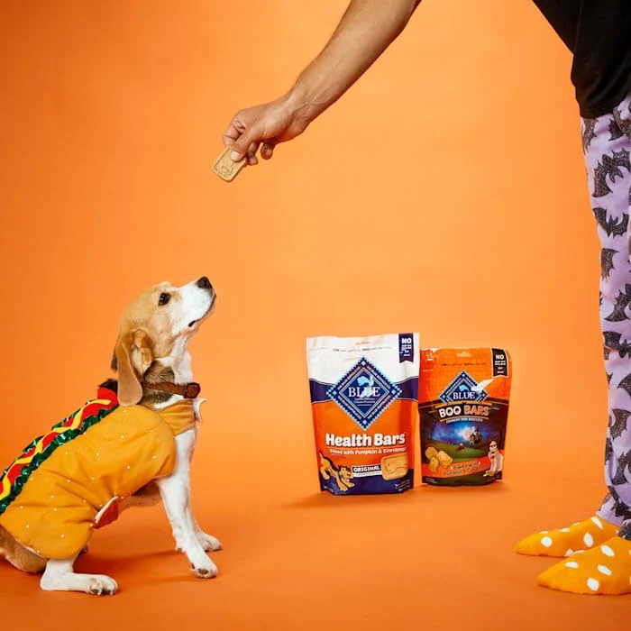 Blue Buffalo Health Bars Crunchy Dog Biscuits, Oven-Baked With Natural Ingredients, Pumpkin & Cinnamon - Image 2