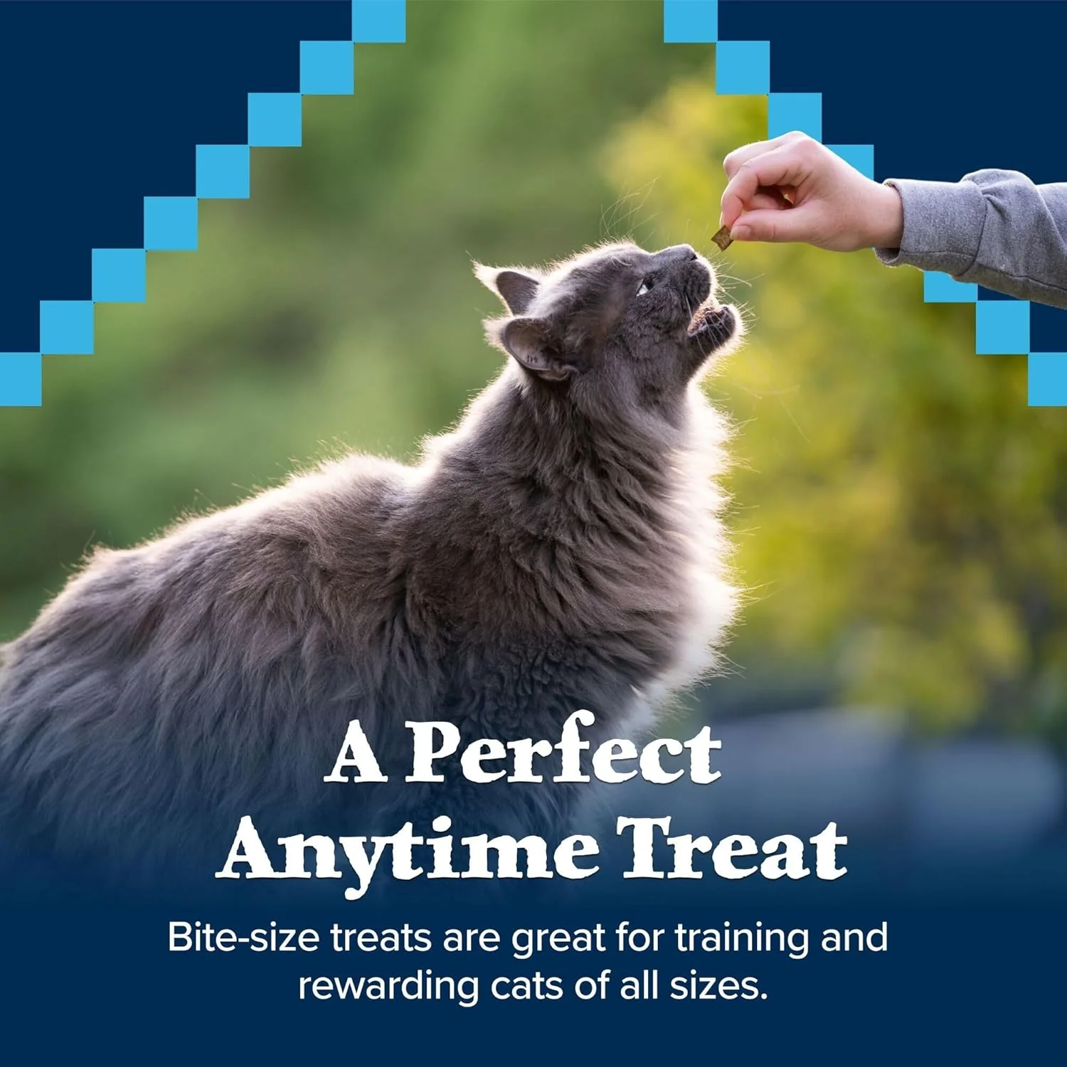 Blue Buffalo Wilderness Grain Free Soft-Moist Cat Treats, Chicken & Salmon - Image 5