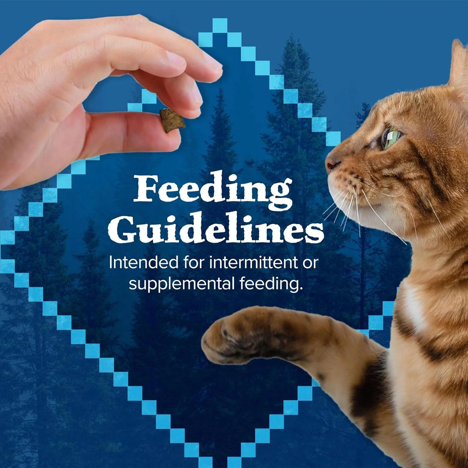Blue Buffalo Wilderness Grain Free Soft-Moist Cat Treats, Chicken & Salmon - Image 9