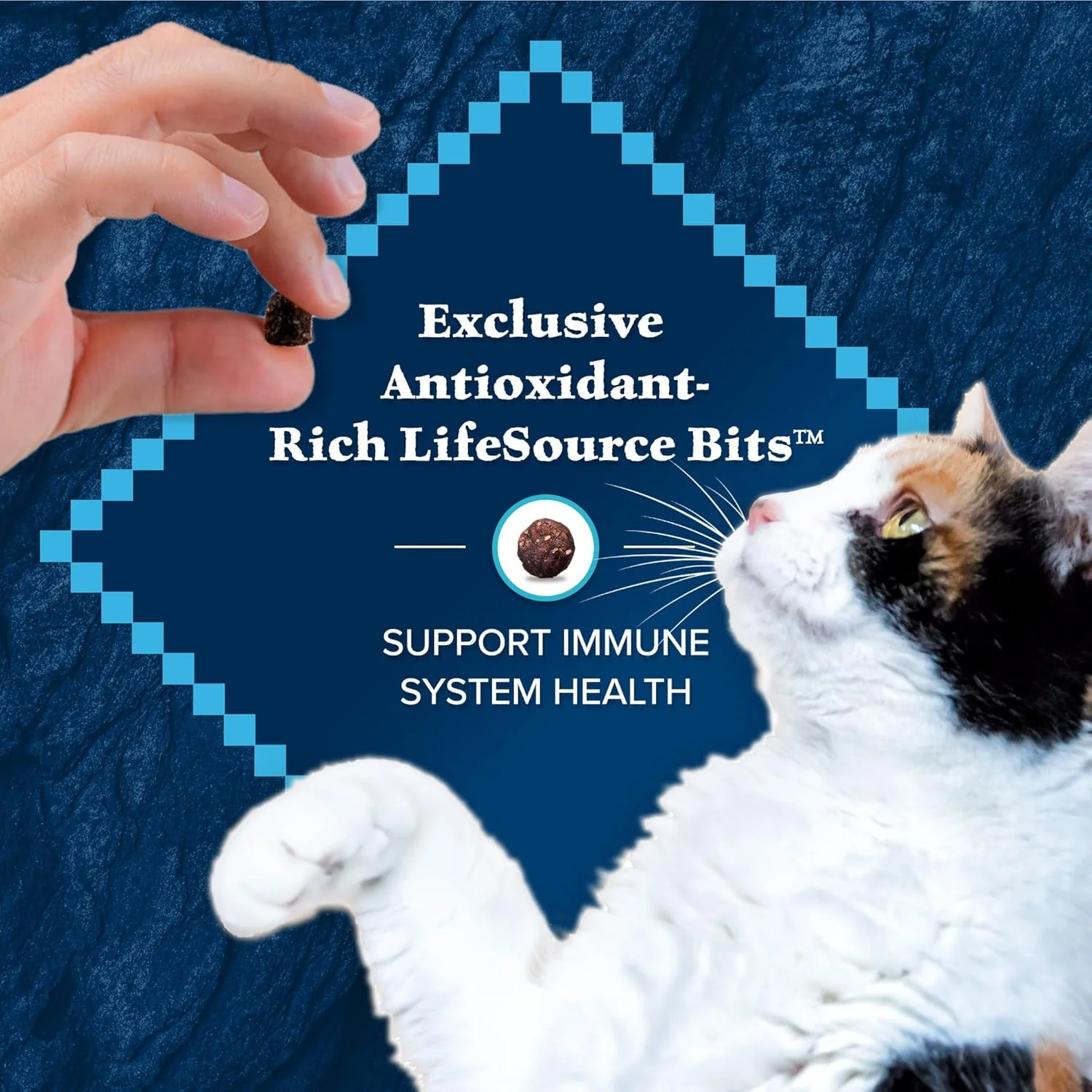 Blue Buffalo Wilderness High-Protein, Grain-Free Natural Dry Food for Adult Cats, Weight and Hairball Control, Chicken - Image 8