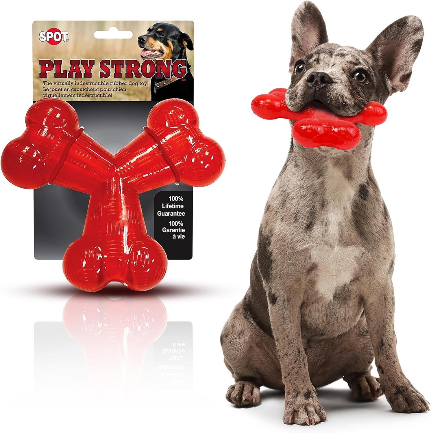 SPOT ethischen Pets Trident 6 Spielzeug, 15,2 cm, Rot - Image 2