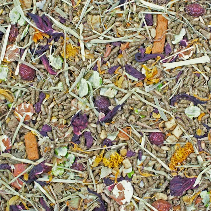 Higgins 466034 Sunburst Gourmet Chinchilla Food Mix - Image 2