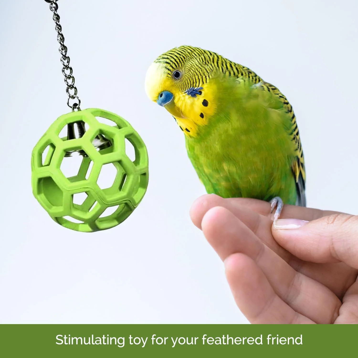 JW Pet Company Activitoys Hol-ee Roller Parrot Toy - Image 9