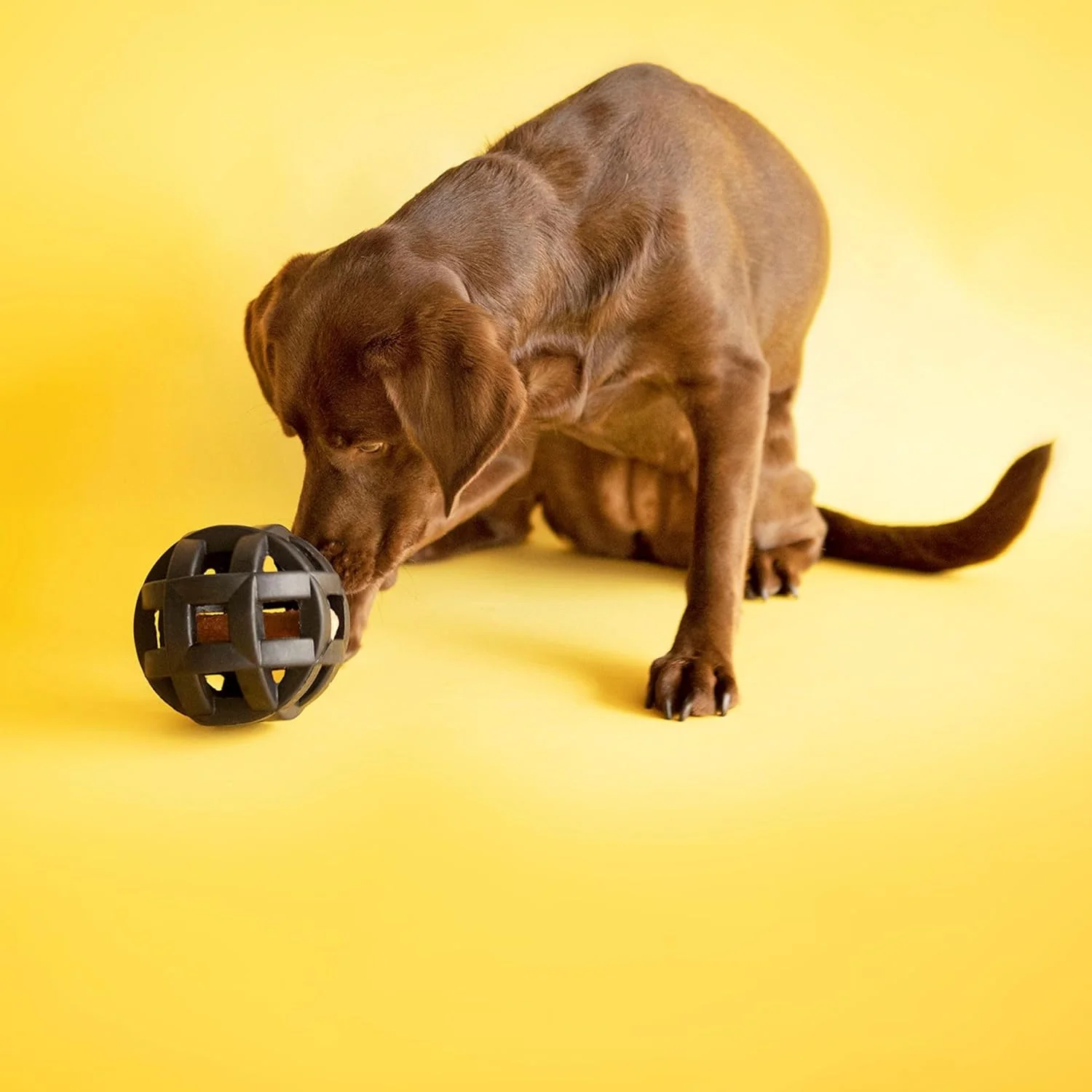 JW Pet Hol-ee Roller Extreme Dog Toy Puzzle Ball, Natural Rubber - Image 7