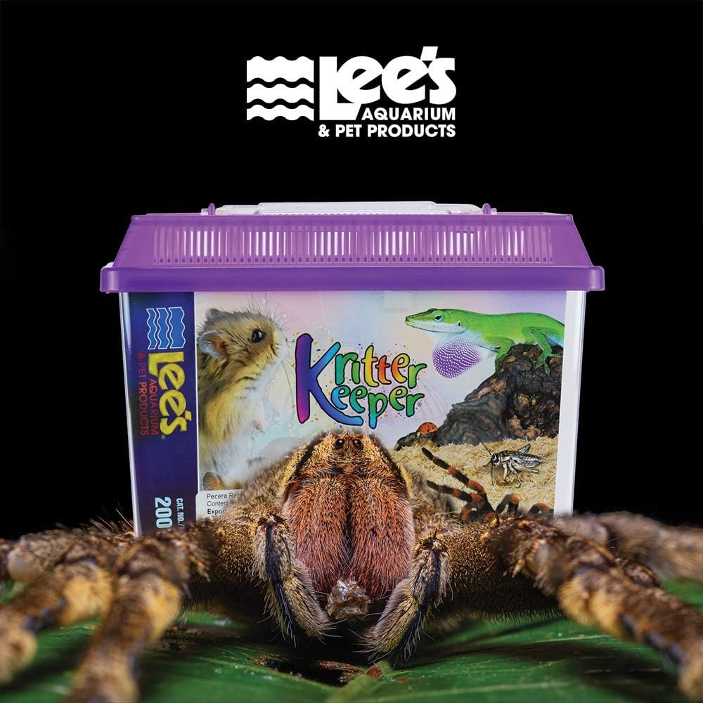 InchLee's Kritter Keeper, Rectangle with Lid - Small, Assorted Colors - Image 2