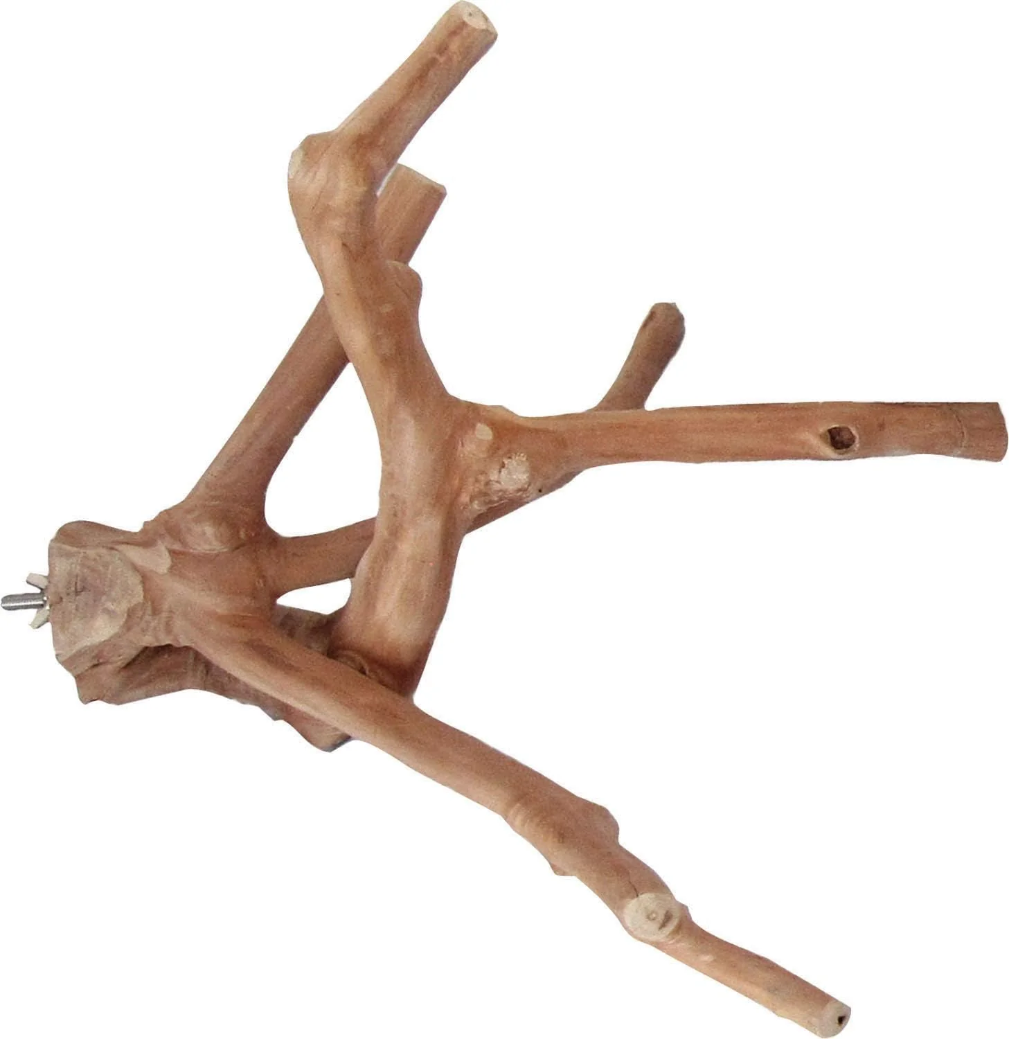 A&E Cage Co. Java Wood Multi Branch Perch - Image 2