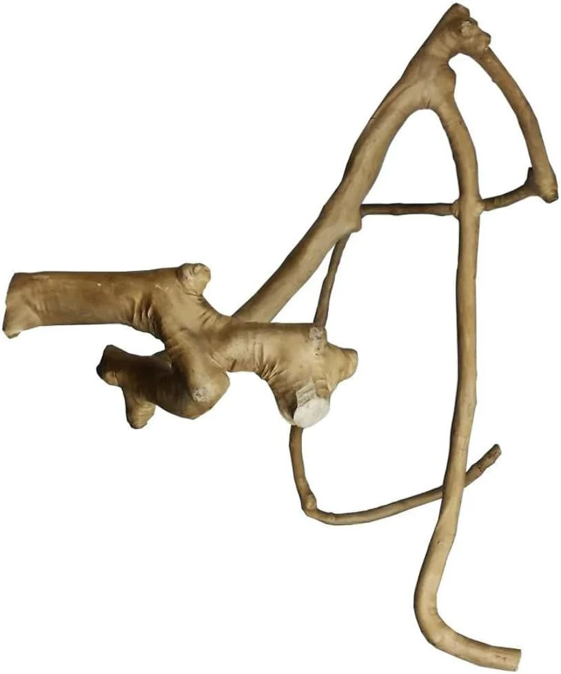 A&E Cage Co. Java Wood Multi Branch Perch - Image 4