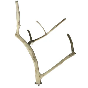 A&E Cage Co. Java Wood Multi Branch Perch - Image 7