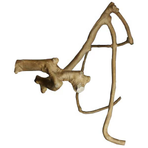 A&E Cage Co. Java Wood Multi Branch Perch - Image 8