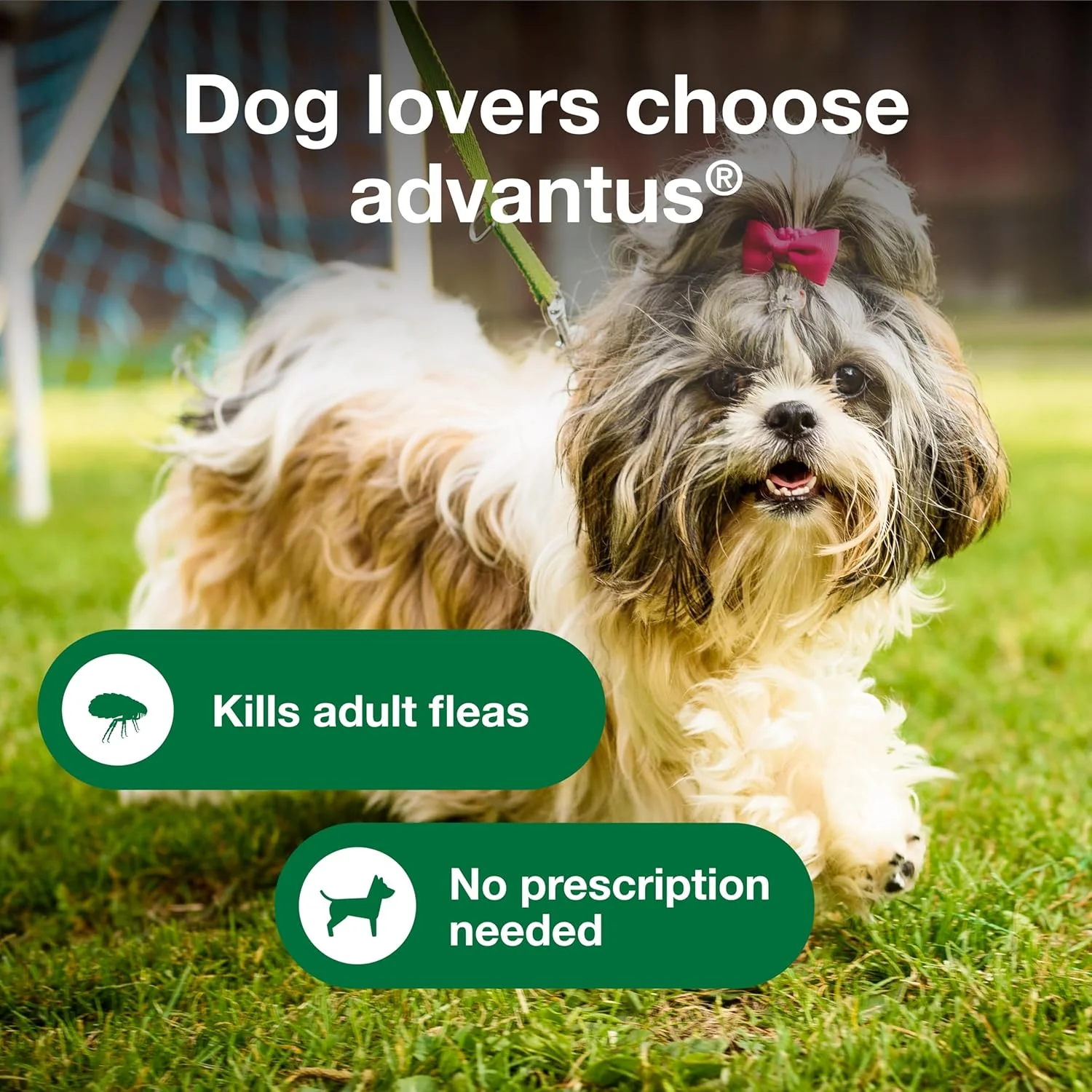 Advantus Dog Advantus Chewable Flea Treatment for Dogs | 30 ct. - Image 3