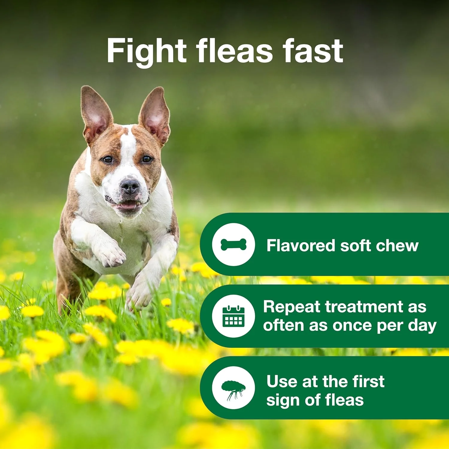 Advantus Dog Advantus Chewable Flea Treatment for Dogs | 30 ct. - Image 4