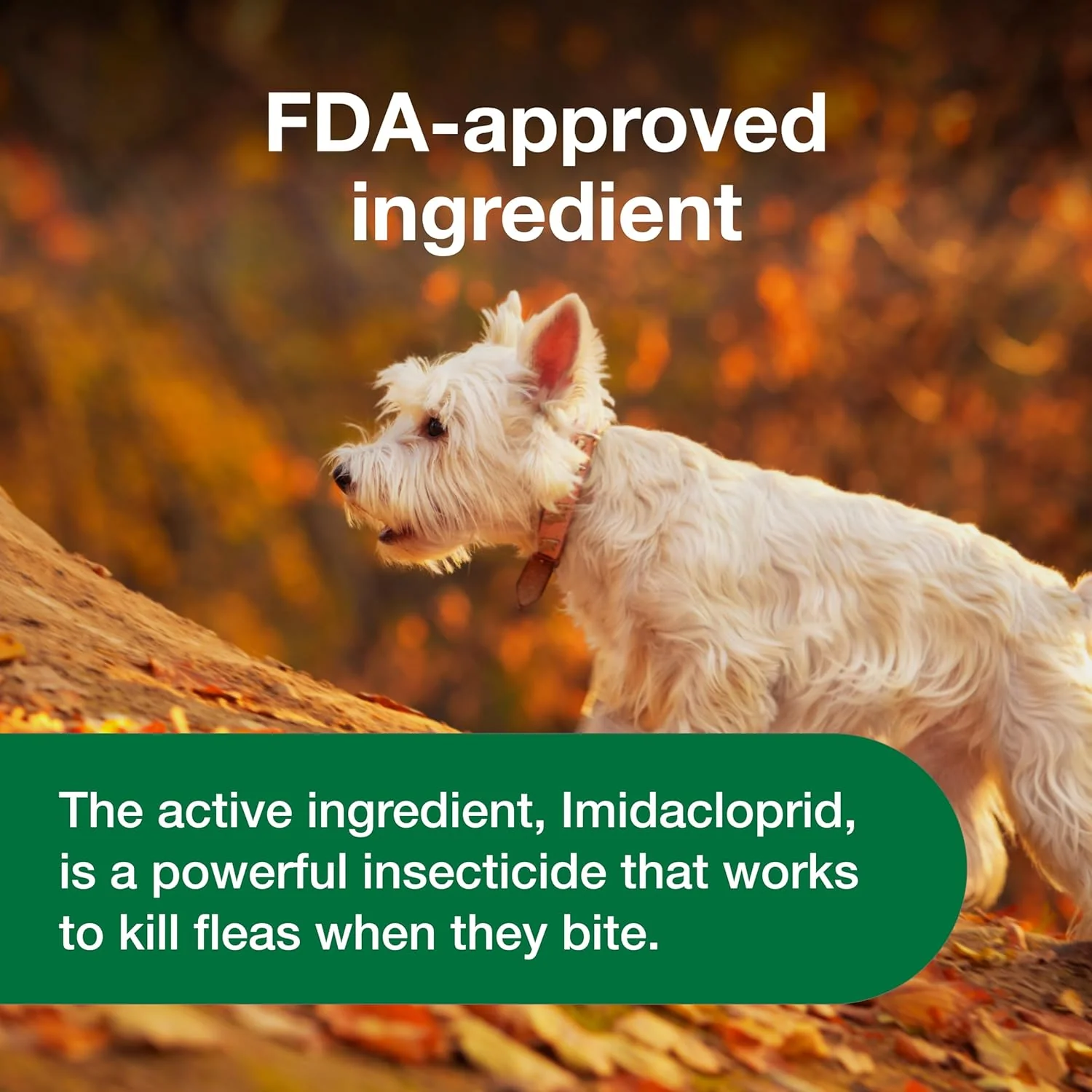 Advantus Dog Advantus Chewable Flea Treatment for Dogs | 30 ct. - Image 7
