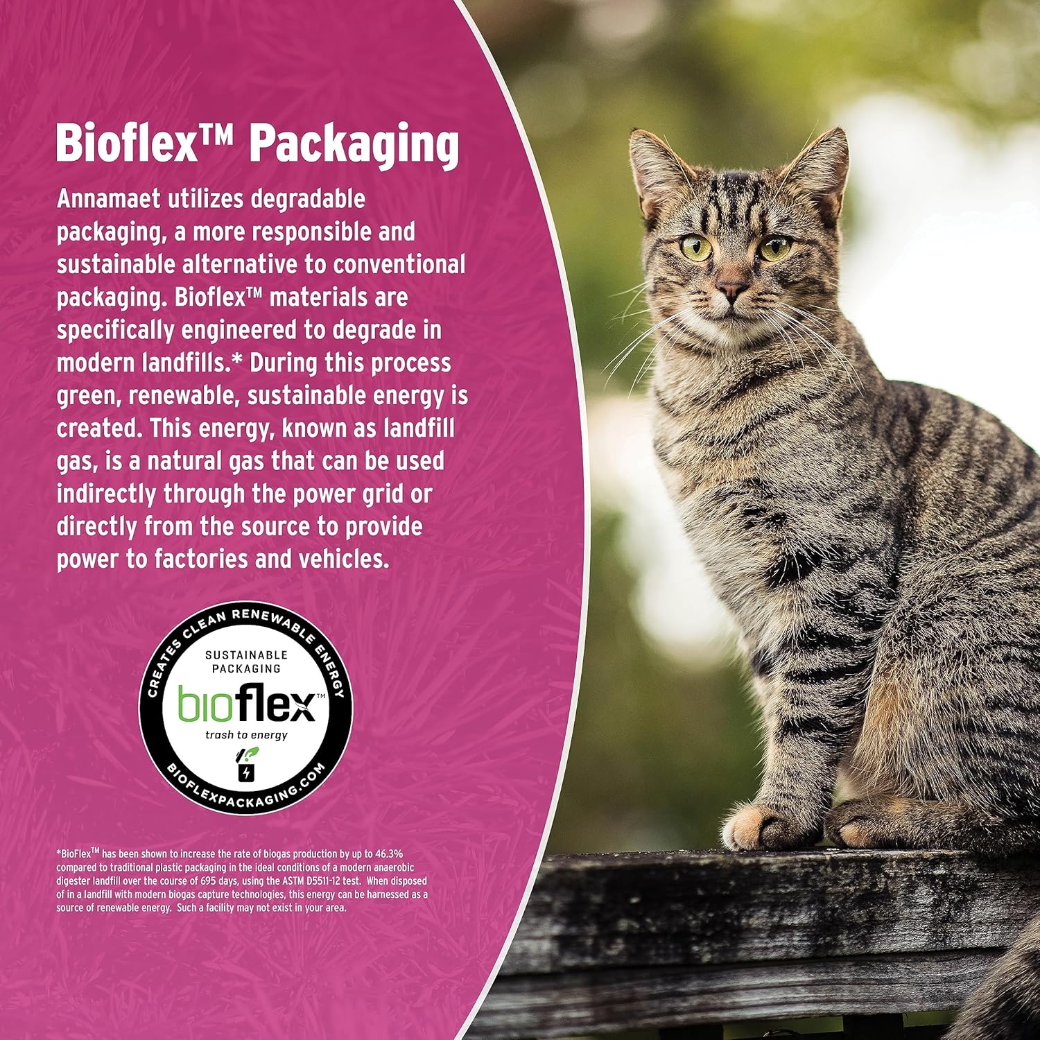 Annamaet Grain-Free Feline Formula Dry Cat Food, (Chicken & Fish), Bag - Image 4