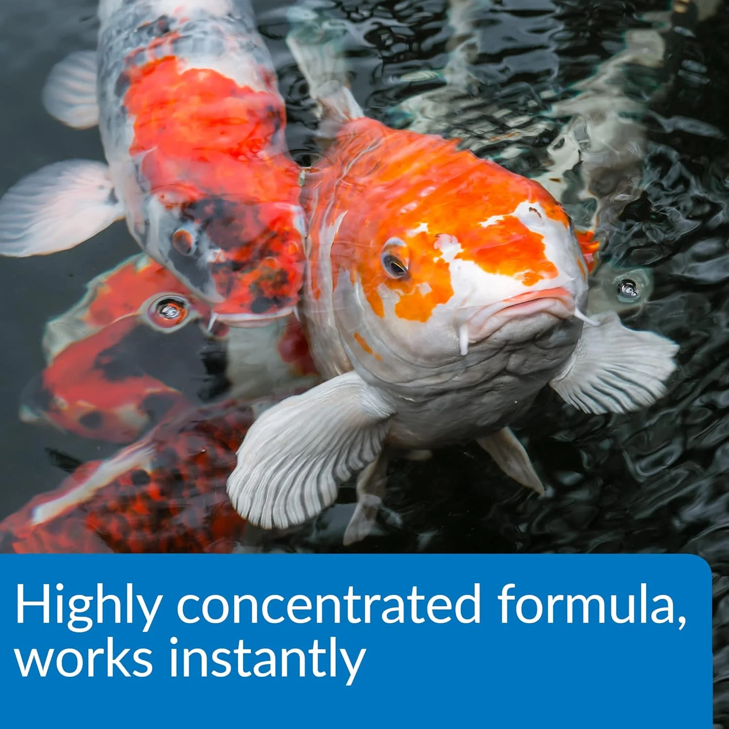 API Aqua Essential Water Conditioner - Image 5