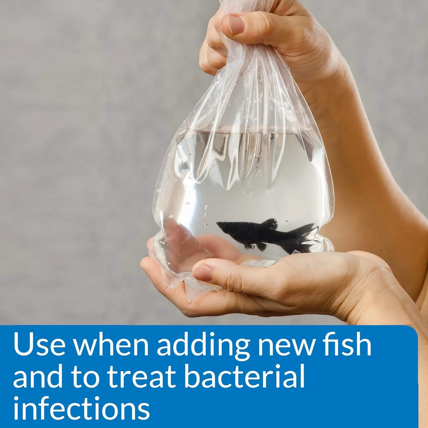 API MELAFIX Freshwater Fish Bacterial Infection Remedy - Image 4