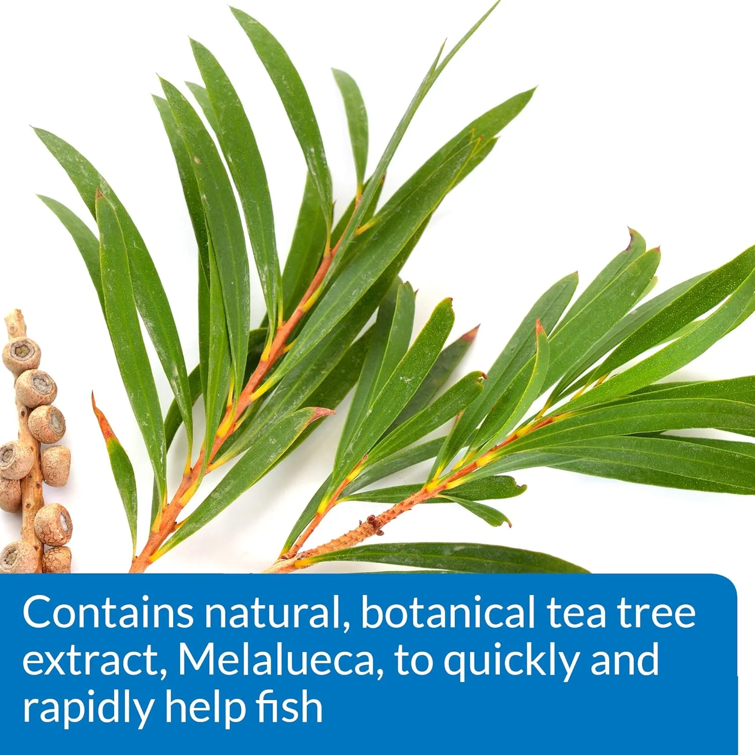 API MELAFIX Freshwater Fish Bacterial Infection Remedy - Image 6