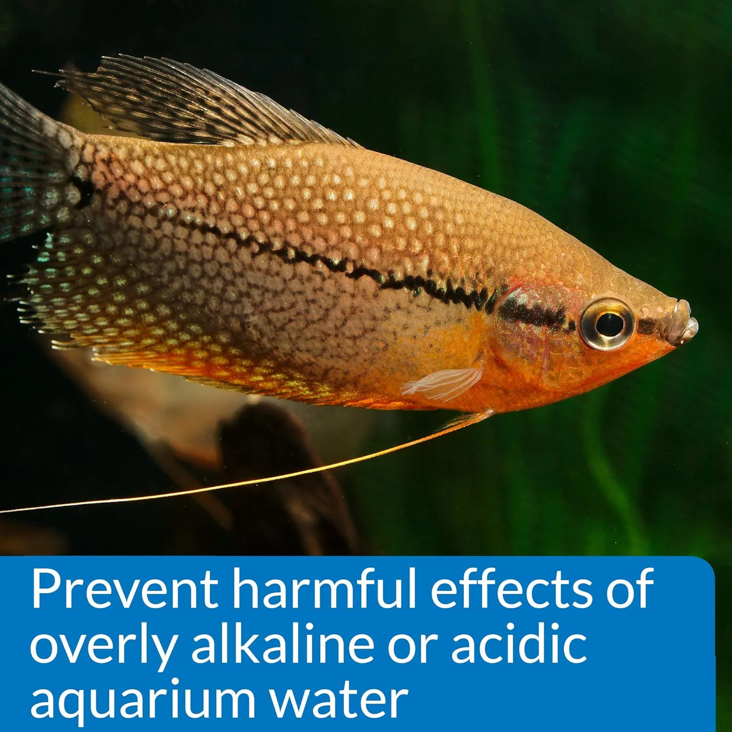 API PH TEST KIT 250-Test Freshwater Aquarium Water pH Test Kit - Image 6