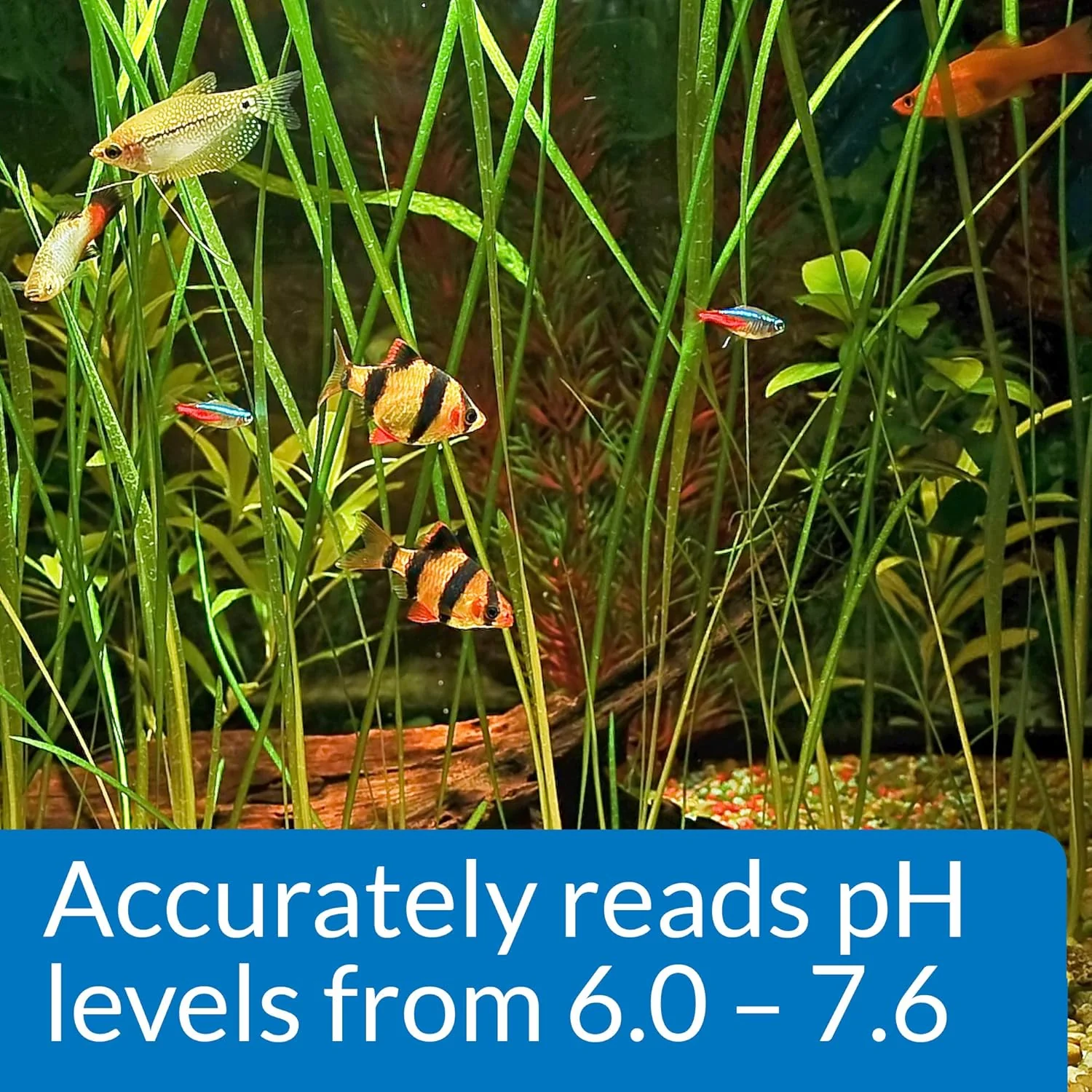 API PH TEST KIT 250-Test Freshwater Aquarium Water pH Test Kit - Image 7