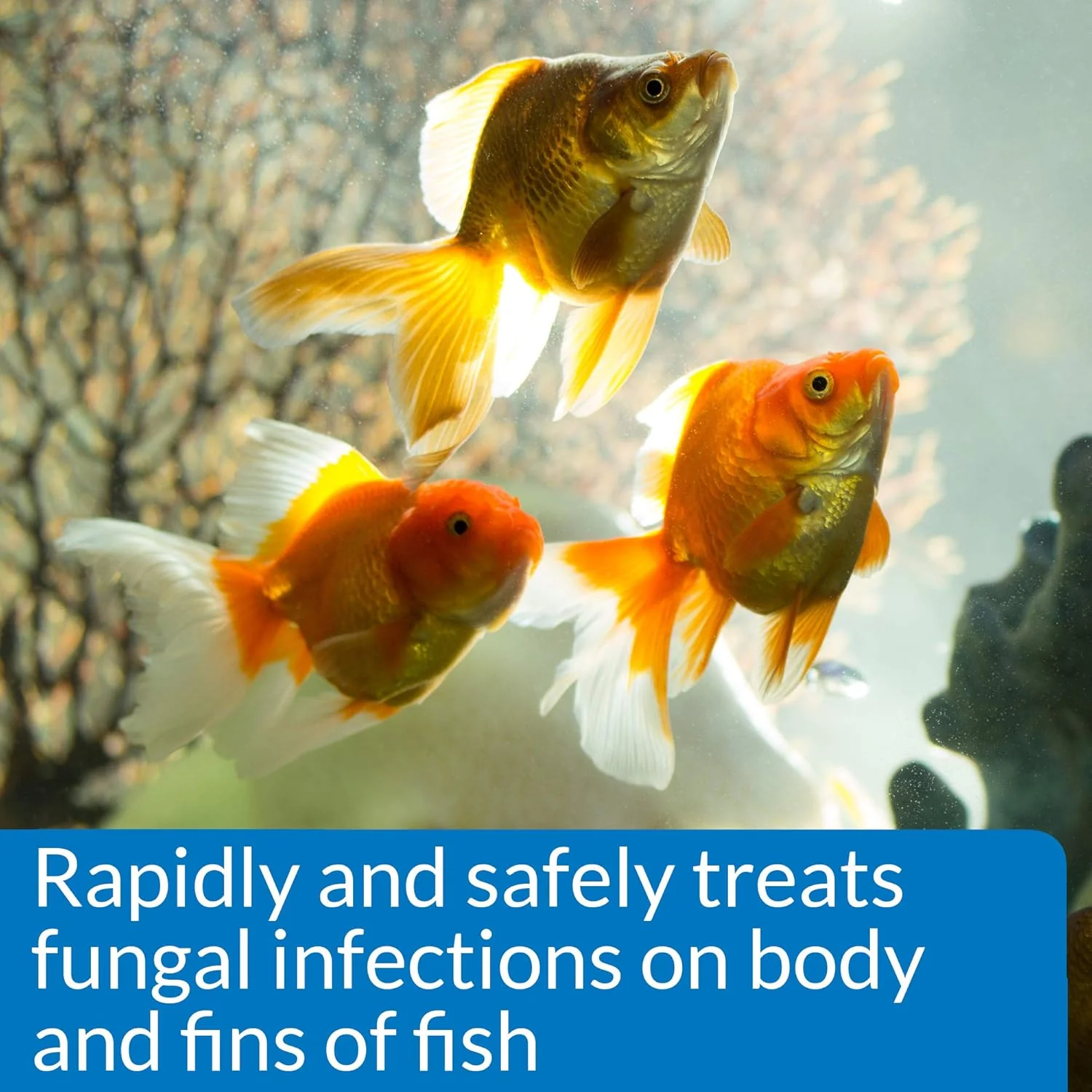 API PIMAFIX Antifungal Freshwater and Saltwater Fish Remedy - Image 3